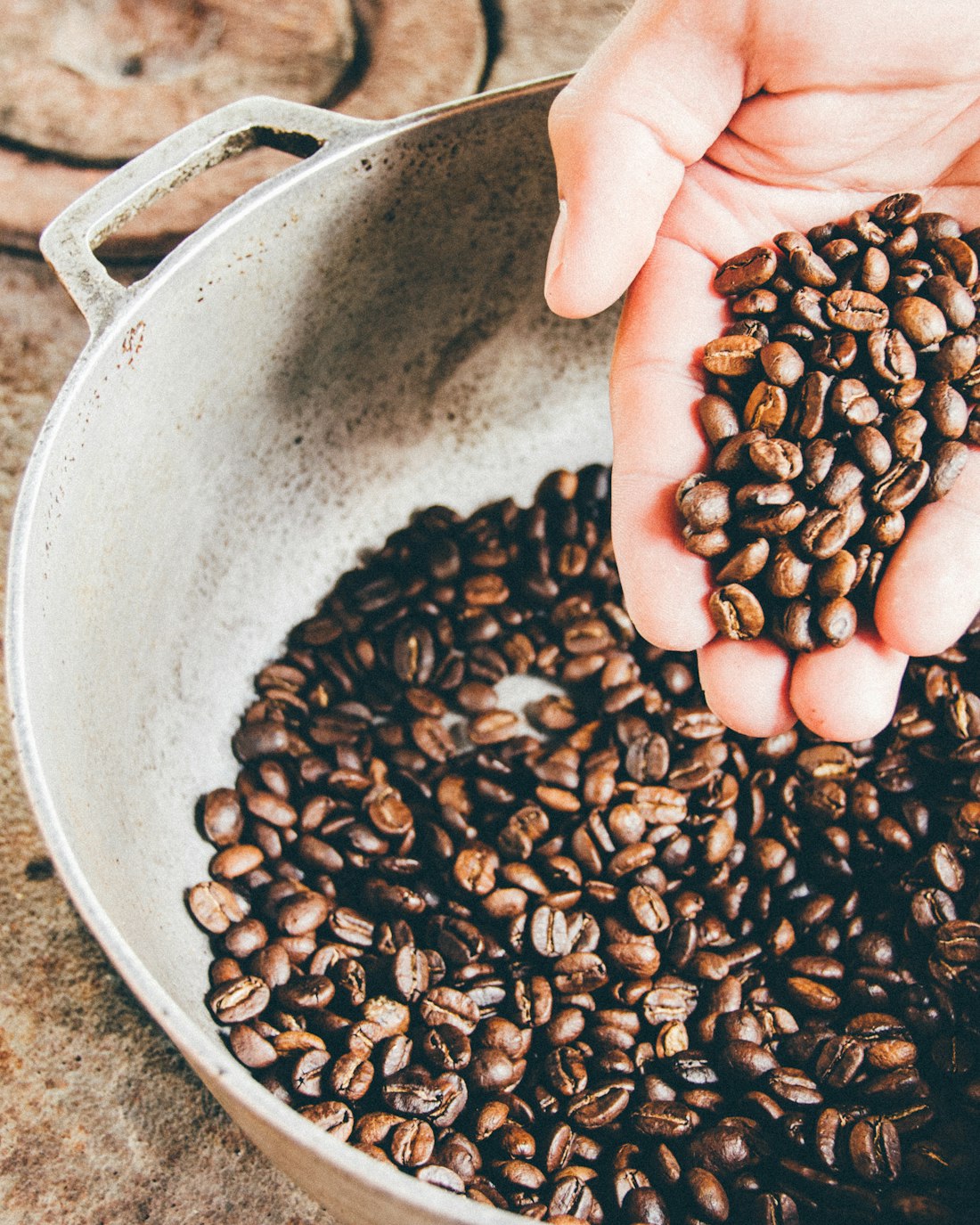 A hand holding freshly roasted coffee beans